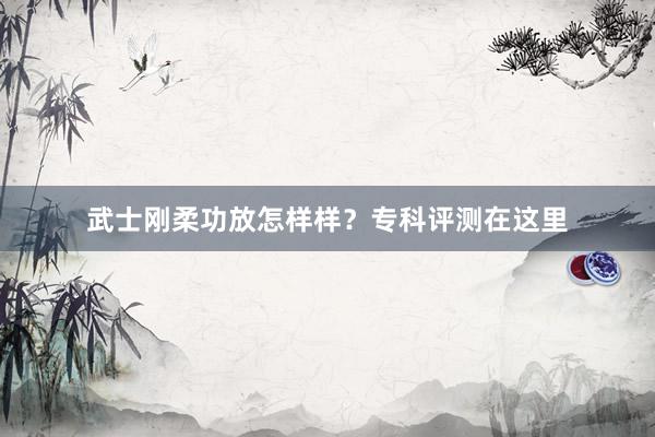 武士刚柔功放怎样样？专科评测在这里